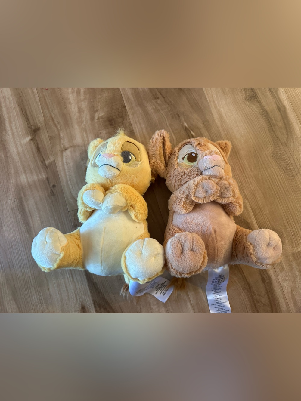 BABY SIMBA AND NALA set plushies small 10”